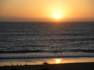 California sunset California sunset