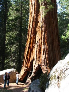 For the purpose of scale... WOW For the purpose of scale... WOW!