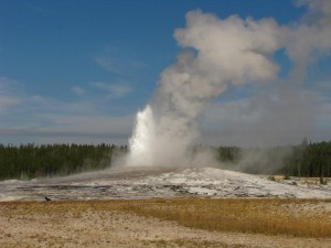 Old Faithful... and no, I don't mean Duke. Old Faithful... and no, I don't mean Duke!