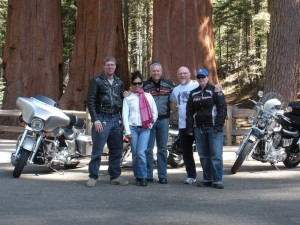 Posing with some of the younger trees in Kings Canyon and Sequoia National Parks Posing with some of the younger trees in Kings Canyon and Sequoia National Parks