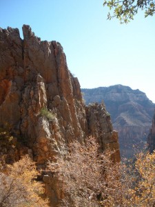 Scenes as we descend in the canyon on the North Kaibab trail IV Scenes as we descend in the canyon on the North Kaibab trail IV