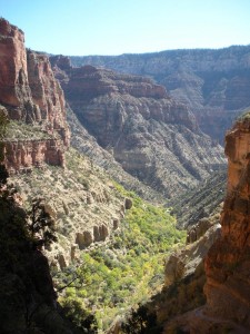 Scenes as we descend in the canyon on the North Kaibab trail VI Scenes as we descend in the canyon on the North Kaibab trail VI