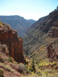 Scenes as we descend in the canyon on the North Kaibab trail... 7 miles and over 4000 feet of elevation change Scenes as we descend in the canyon on the North Kaibab trail... 7 miles and over 4000 feet of elevation change