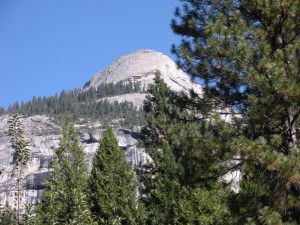 Scenes from Yosemite Scenes from Yosemite