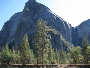 Scenes from Yosemite II Scenes from Yosemite II