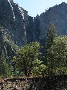 Scenes from Yosemite IV Scenes from Yosemite IV