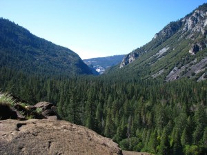 Scenes from Yosemite V Scenes from Yosemite V