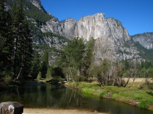 Scenes from Yosemite VI Scenes from Yosemite VI