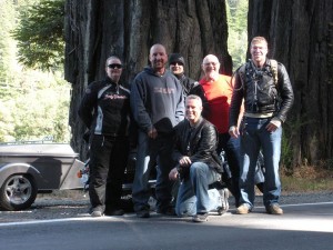 Some redwoods on the Avenue of the Giants off of US 101 Some redwoods on the Avenue of the Giants off of US 101