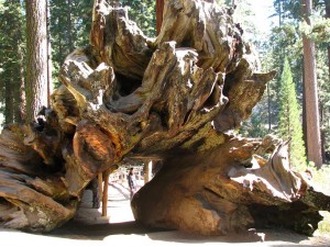 The Fallen Monarch... yes, that's a person inside The Fallen Monarch... yes, that's a person inside