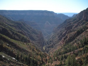 The view from the top of the Grand Canyon's North Kaibab trail The view from the top of the Grand Canyon's North Kaibab trail